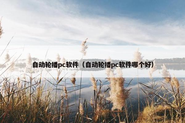 自动轮播pc软件（自动轮播pc软件哪个好）