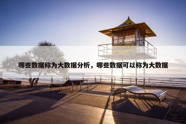哪些数据称为大数据分析，哪些数据可以称为大数据