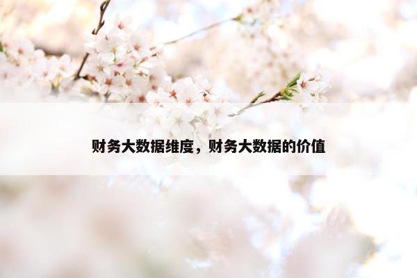财务大数据维度，财务大数据的价值