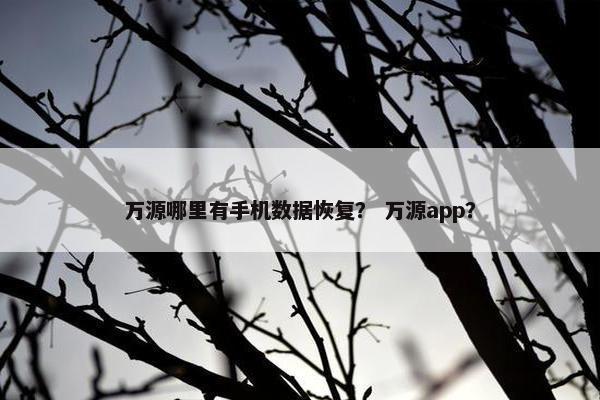 万源哪里有手机数据恢复？ 万源app？
