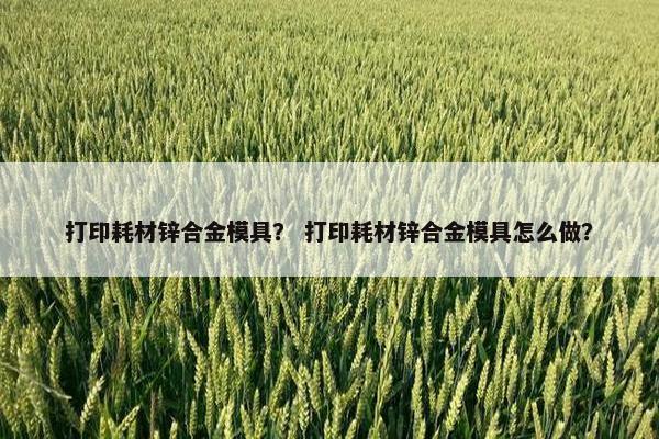 打印耗材锌合金模具？ 打印耗材锌合金模具怎么做？