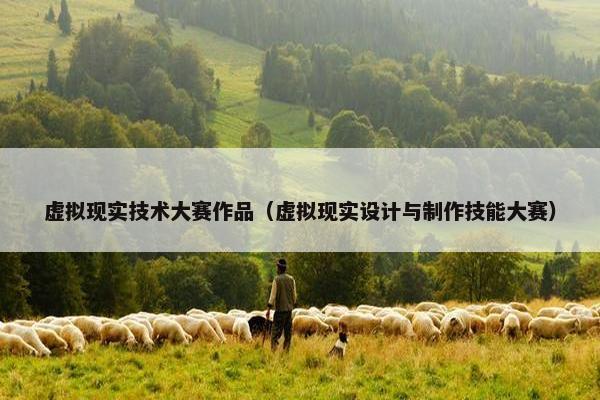 虚拟现实技术大赛作品（虚拟现实设计与制作技能大赛）