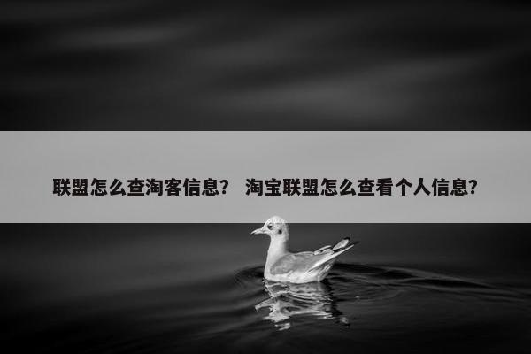 联盟怎么查淘客信息？ 淘宝联盟怎么查看个人信息？