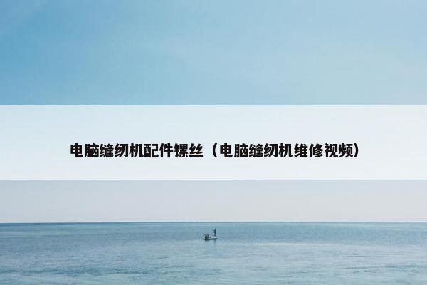 电脑缝纫机配件镙丝（电脑缝纫机维修视频）