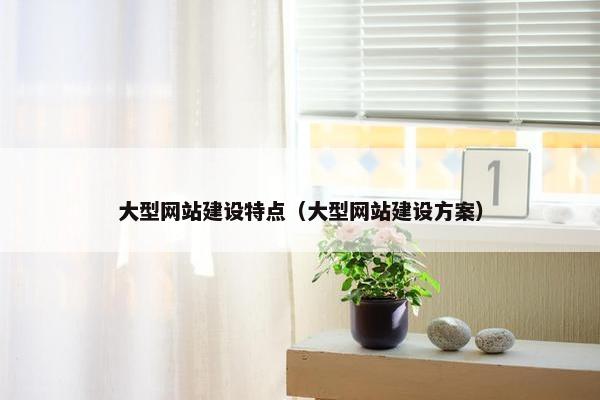 大型网站建设特点（大型网站建设方案）