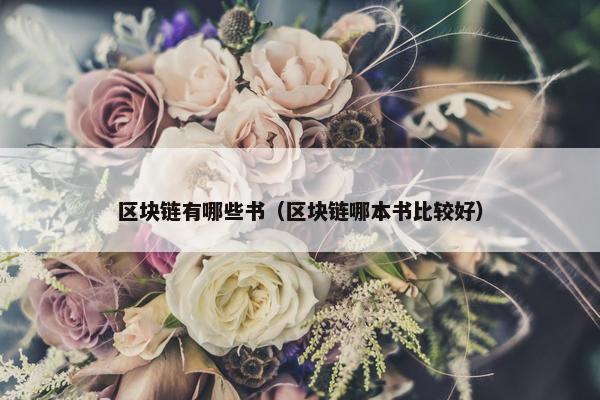 区块链有哪些书（区块链哪本书比较好）
