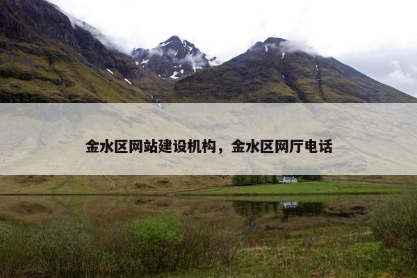 金水区网站建设机构，金水区网厅电话