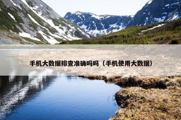 手机大数据排查准确吗吗（手机使用大数据）