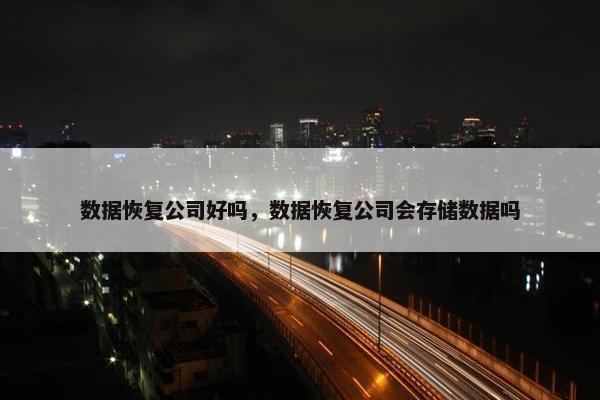 数据恢复公司好吗，数据恢复公司会存储数据吗