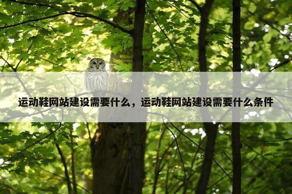 运动鞋网站建设需要什么，运动鞋网站建设需要什么条件