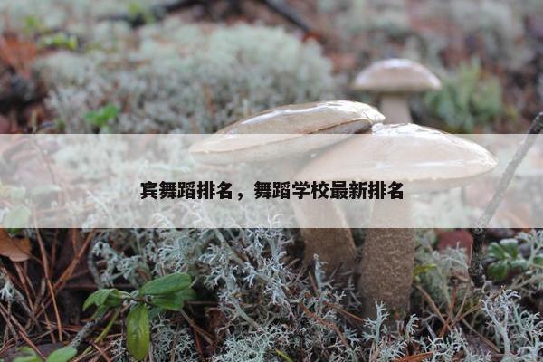 宾舞蹈排名，舞蹈学校最新排名