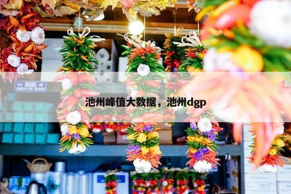 池州峰值大数据，池州dgp