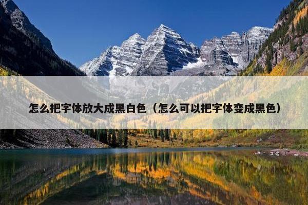 怎么把字体放大成黑白色（怎么可以把字体变成黑色）