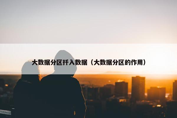 大数据分区扦入数据（大数据分区的作用）