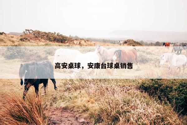 高安桌球，安康台球桌销售