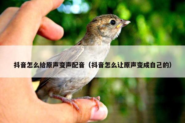 抖音怎么给原声变声配音（抖音怎么让原声变成自己的）