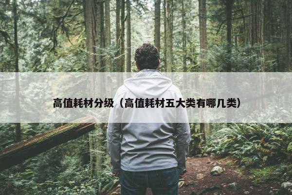 高值耗材分级（高值耗材五大类有哪几类）