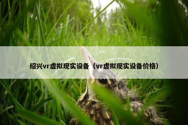 绍兴vr虚拟现实设备（vr虚拟现实设备价格）