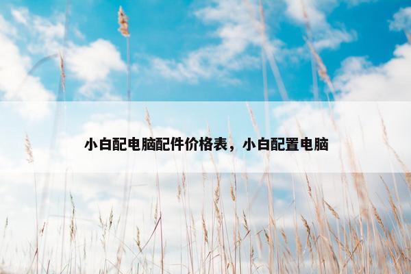 小白配电脑配件价格表，小白配置电脑