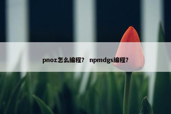 pnoz怎么编程？ npmdgs编程？