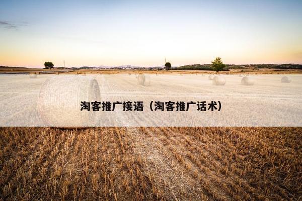 淘客推广接语（淘客推广话术）