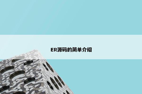 ER源码的简单介绍