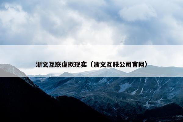 浙文互联虚拟现实（浙文互联公司官网）