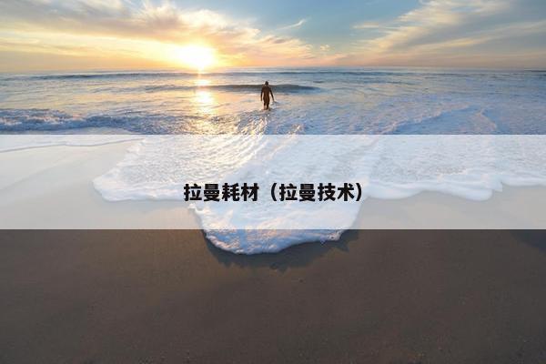 拉曼耗材（拉曼技术）
