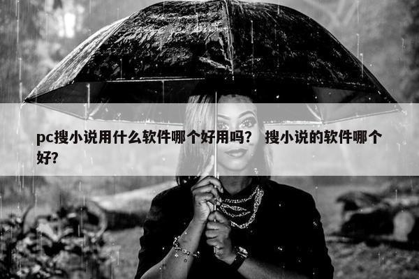 pc搜小说用什么软件哪个好用吗？ 搜小说的软件哪个好？