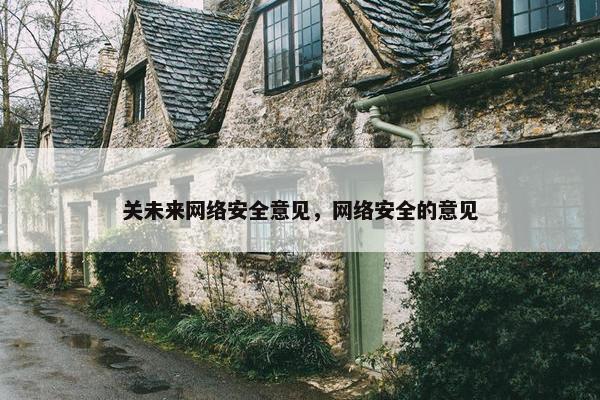 关未来网络安全意见，网络安全的意见