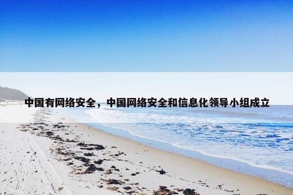 中国有网络安全，中国网络安全和信息化领导小组成立