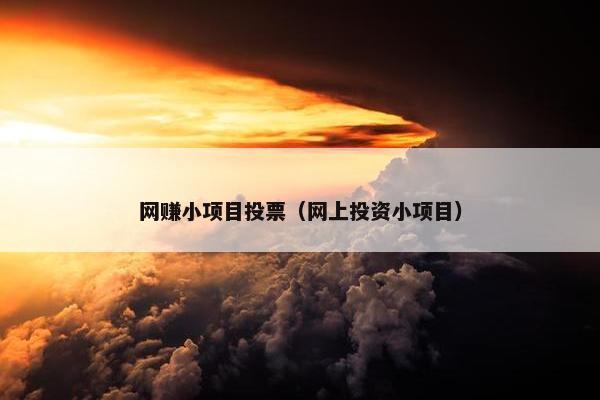 网赚小项目投票（网上投资小项目）