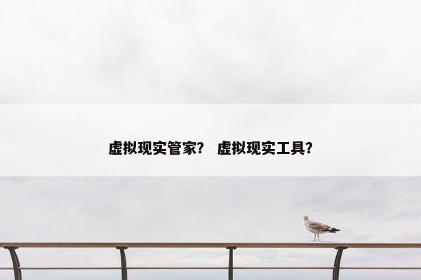 虚拟现实管家？ 虚拟现实工具？