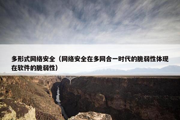 多形式网络安全（网络安全在多网合一时代的脆弱性体现在软件的脆弱性）