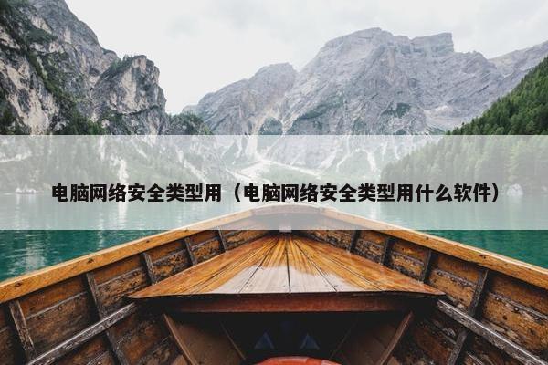 电脑网络安全类型用（电脑网络安全类型用什么软件）
