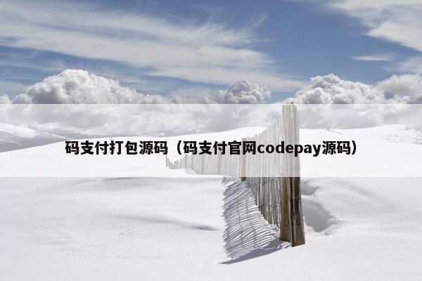 码支付打包源码（码支付官网codepay源码）
