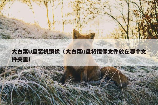 大白菜U盘装机镜像（大白菜u盘将镜像文件放在哪个文件夹里）