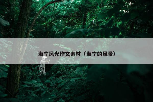 海宁风光作文素材（海宁的风景）