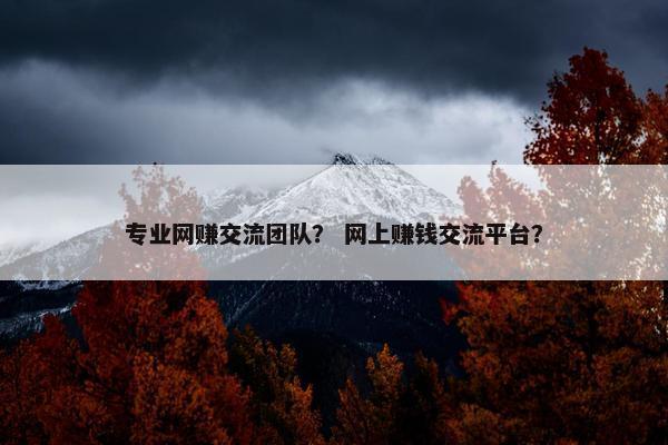 专业网赚交流团队？ 网上赚钱交流平台？