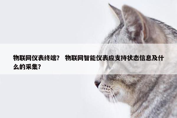 物联网仪表终端？ 物联网智能仪表应支持状态信息及什么的采集？