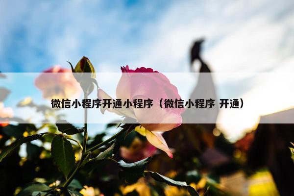 微信小程序开通小程序（微信小程序 开通）