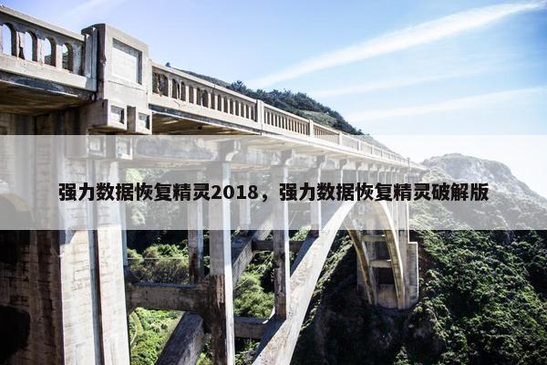 强力数据恢复精灵2018，强力数据恢复精灵破解版