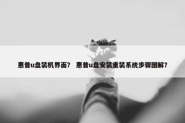 惠普u盘装机界面？ 惠普u盘安装重装系统步骤图解？