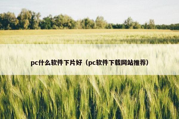 pc什么软件下片好（pc软件下载网站推荐）
