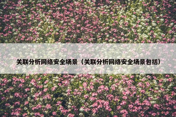 关联分析网络安全场景（关联分析网络安全场景包括）