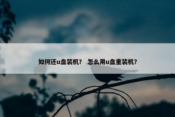 如何还u盘装机？ 怎么用u盘重装机？