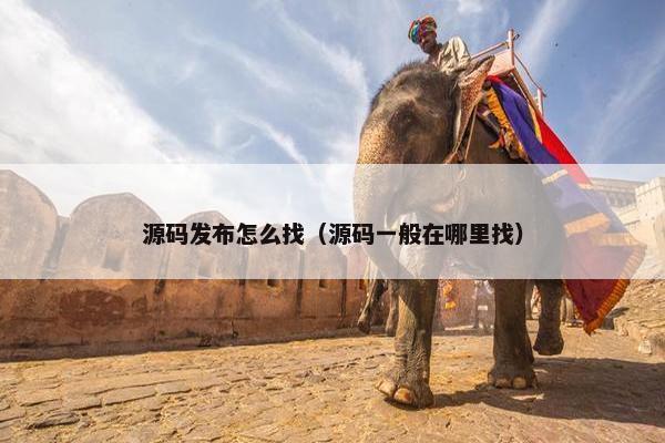 源码发布怎么找（源码一般在哪里找）