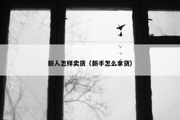 新人怎样卖货（新手怎么拿货）