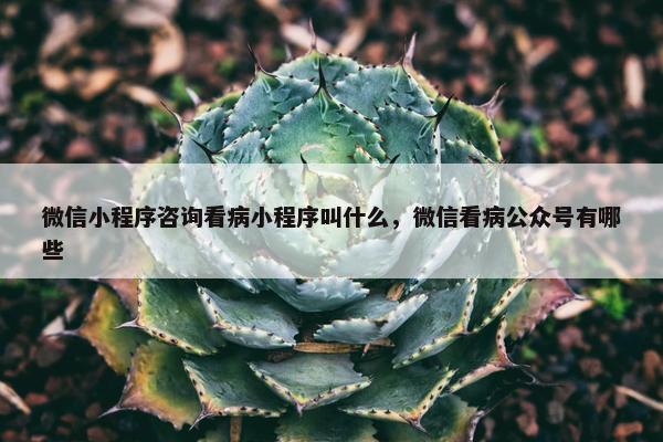 微信小程序咨询看病小程序叫什么，微信看病公众号有哪些