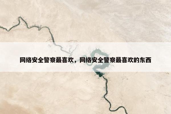 网络安全警察最喜欢，网络安全警察最喜欢的东西
